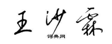 梁錦英王沙霖草書個性簽名怎么寫