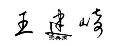 梁錦英王建崎草書個性簽名怎么寫