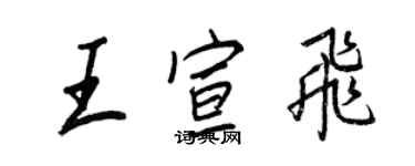 王正良王宣飛行書個性簽名怎么寫