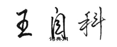 駱恆光王自科行書個性簽名怎么寫