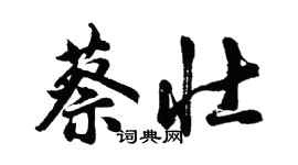 胡問遂蔡壯行書個性簽名怎么寫