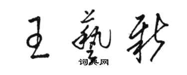 駱恆光王藝新草書個性簽名怎么寫