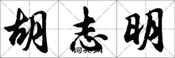 胡問遂胡志明行書怎么寫