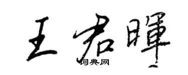 王正良王君暉行書個性簽名怎么寫