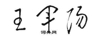 駱恆光王軍陽草書個性簽名怎么寫