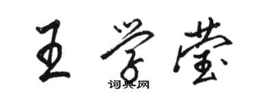 駱恆光王學瑩行書個性簽名怎么寫