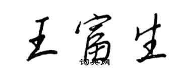 王正良王富生行書個性簽名怎么寫