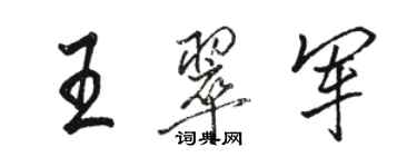 駱恆光王翠軍行書個性簽名怎么寫