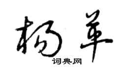 曾慶福楊革草書個性簽名怎么寫