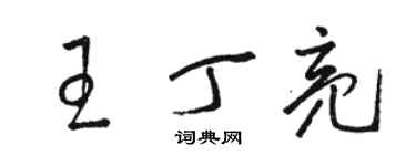 駱恆光王丁亮草書個性簽名怎么寫