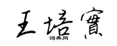 王正良王培實行書個性簽名怎么寫