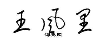 梁錦英王風裡草書個性簽名怎么寫