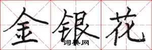駱恆光金銀花楷書怎么寫