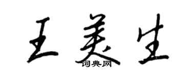 王正良王美生行書個性簽名怎么寫