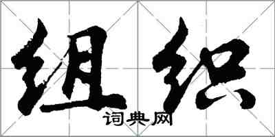 胡問遂組織行書怎么寫