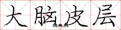 龐中華大腦皮層楷書怎么寫