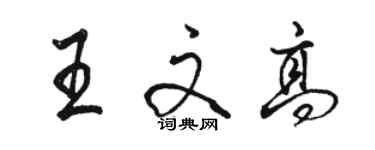 駱恆光王文高行書個性簽名怎么寫