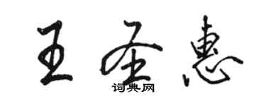 駱恆光王聖惠行書個性簽名怎么寫