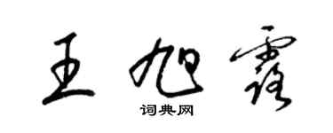 梁錦英王旭露草書個性簽名怎么寫