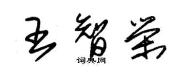 朱錫榮王智榮草書個性簽名怎么寫