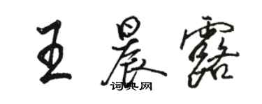 駱恆光王晨露行書個性簽名怎么寫