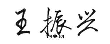 駱恆光王振興行書個性簽名怎么寫