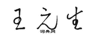 駱恆光王元生草書個性簽名怎么寫