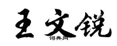 胡問遂王文銳行書個性簽名怎么寫