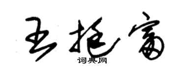 朱錫榮王挺富草書個性簽名怎么寫