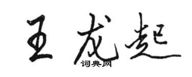 駱恆光王龍起行書個性簽名怎么寫