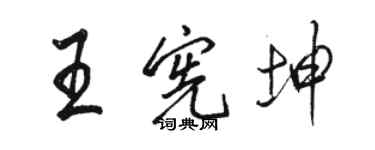 駱恆光王憲坤行書個性簽名怎么寫