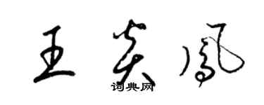 梁錦英王炎鳳草書個性簽名怎么寫