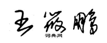朱錫榮王筱鵬草書個性簽名怎么寫