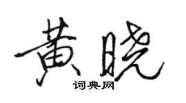 駱恆光黃曉行書個性簽名怎么寫