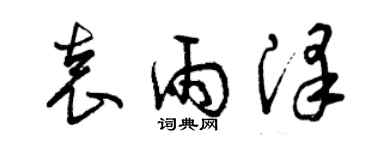 曾慶福袁雨澤草書個性簽名怎么寫