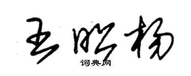 朱錫榮王昭楊草書個性簽名怎么寫