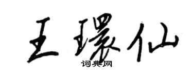 王正良王環仙行書個性簽名怎么寫