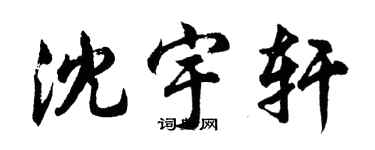 胡問遂沈宇軒行書個性簽名怎么寫
