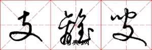 梁錦英支離叟草書怎么寫