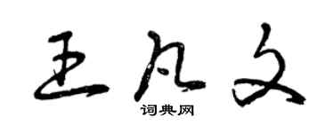 曾慶福王凡文草書個性簽名怎么寫