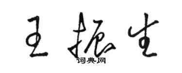 駱恆光王振生草書個性簽名怎么寫