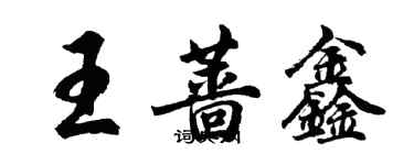 胡問遂王薔鑫行書個性簽名怎么寫