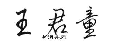 駱恆光王君童行書個性簽名怎么寫