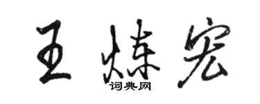 駱恆光王煉宏行書個性簽名怎么寫