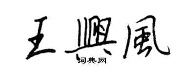 王正良王興風行書個性簽名怎么寫