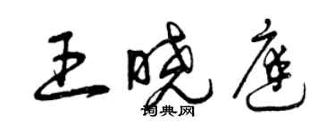 曾慶福王曉庭草書個性簽名怎么寫