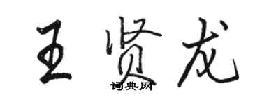 駱恆光王賢龍行書個性簽名怎么寫