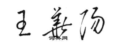 駱恆光王華陽草書個性簽名怎么寫