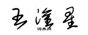 朱錫榮王淦星草書個性簽名怎么寫