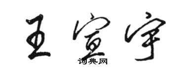 駱恆光王宣宇行書個性簽名怎么寫